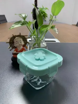 [Medan] Tempat Mpasi Kaca / Kotak Tempat Makan Kaca Baby Glass Food Container Kedap Udara / Kotak Mpasi Kaca / Penyimpanan