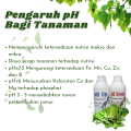 pH Up pH Down Nutrisi Hidroponik 1 Liter. 