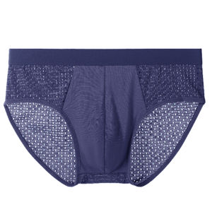 Mens Mesh Breathable Briefs Summer Ice Silk Panties Boxers Men Solid Color Underwear Casual Simple Male Underpants XL-4XL