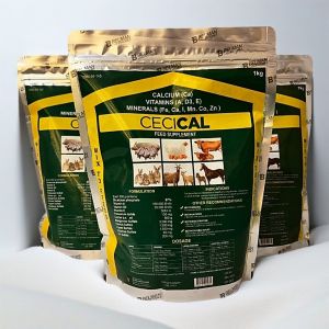 Cecical powder 1kg Vitamin & Mineral for Animals