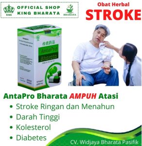 ANTAPRO BHARATA Obat Stroke Ampuh Stroke Sebelah Obat Gejala Stroke