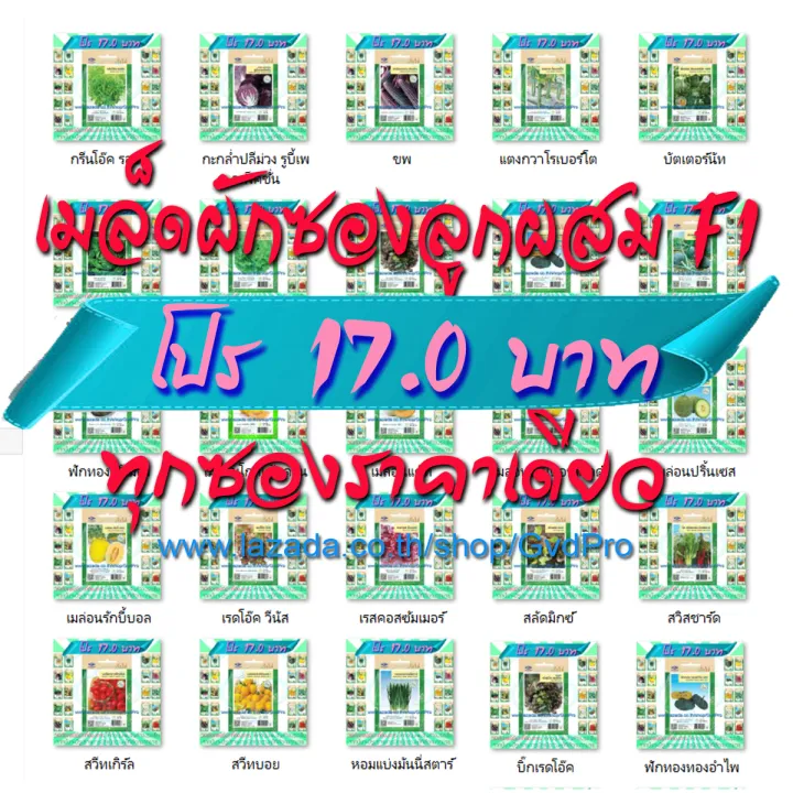 เมล็ดพันธุ์ผักซอง เจียไต๋ ลูกผสม F1 พันธุ์พิเศษ หลากหลายชนิด