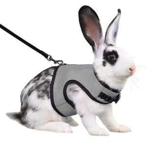 OUTOPEN Mutil-Colors Rabbit Harness and Leash Set Breathable Stylish Pet Harness Escape Proof Soft Pet Chest Strap Small Animal