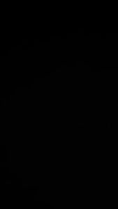 NIDO Jr 1-3 2.4KG - Nido Junior 1-3 2.4 - Exp: SEP 2026 (NEW PACKING) - EasyGrocery