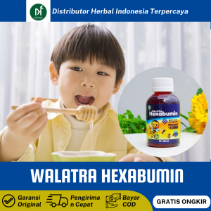 Walatra Hexabumin Madu Albumin Khusus Untuk Anak EKstrak Ikan Gabus Isi 120 Ml Original BPOM Halal