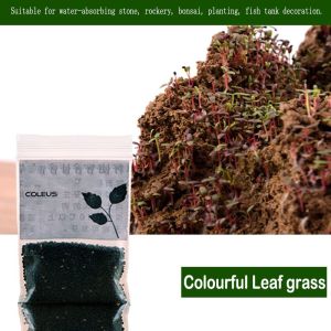 เมล็ดไม้น้ำ ตู้ปลา เมล็ดพันธุ์ไม้น้ำ 5กรัม/ถุง พร้อมปลูกพืชไม่ต้องใช้co2 แต่งตู้ปลาให้สวยงาม