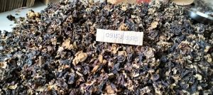 MỘC NHĨ RỪNG đặc sản núi rừng Tây Bắc 1kg