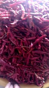ready kemasan ( 1KG ) CABE RAWIT TEJA KERING NON TANGKAI SUPER PEDAS