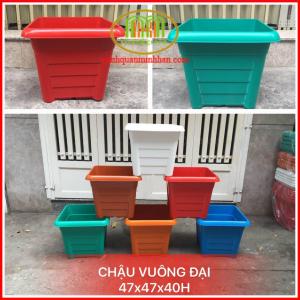 Chậu nhựa to đại trồng cây cảnh cây ăn trái trồng sen súng đều rất thích hợp.