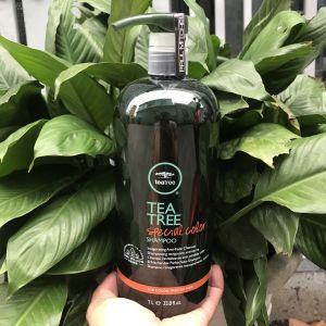 Gội Xã giảm gàu giữ màu kháng khuẩn PAUL MITCHELL Tea Tree Special Color 1000mlx2