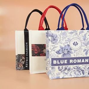 FE Three-Dimensional Ribbon Canvas Bag Formulation Student Handheld Environmental Protection Shopping Bag Large Capacity Advertising Canvas Bag Production