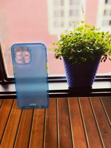 Case Apple Iphone 13 Pro Softcase Ume Matte Rainbow