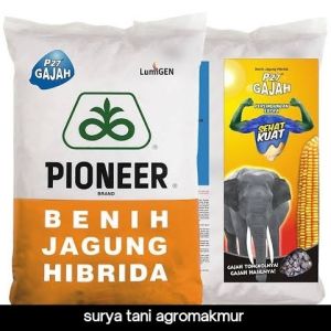 BIBIT JAGUNG P 27 LUMIGEN 1KG ANTI BULAI