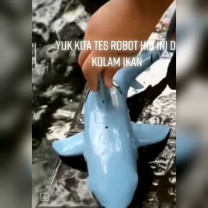 Mainan RC Hiu Anti Air: Cara Berjalan di Air & Fitur Frekuensi 2.4 GHz