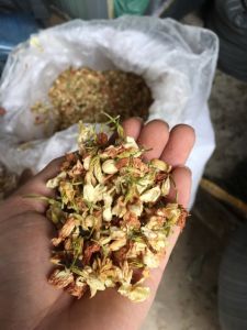 Combo 2kg trà sơn mật hồng sâm