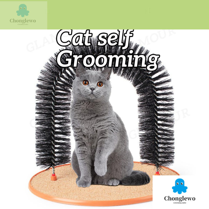 Cat Groomer Purrfect Paws Grooming Cat Grooming Salon Purrfect