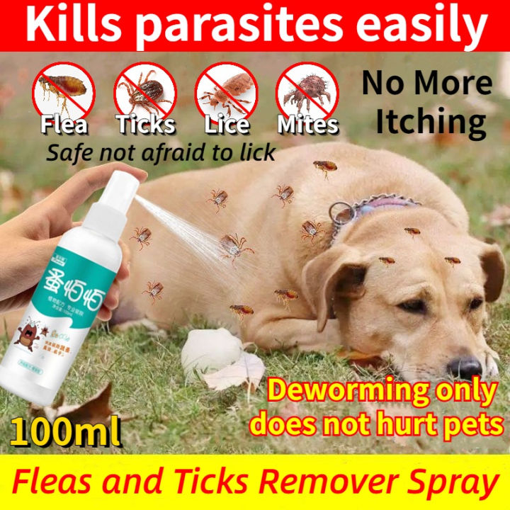 View of Original Tick Away Spray 100ml for Dogs & Cats Anti-Tick Garapata Flea ...