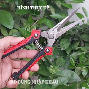 Kéo cắt tỉa cành cây tỉa dăm tỉa lá Japan bằng thép không gỉ- Kèm lò xo sơ cua
