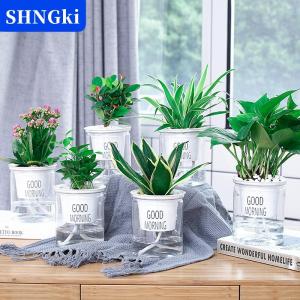 [COD] 🔥🔥🔥SHNGki Chậu hoa Trong Suốt Tự tưới cây chậu hoa trang trí sân vườn nhà