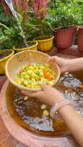 Hạt giống Ớt Trái Tròn Trồng Quanh Năm Dùng Làm Kiểng và Gia Vị (0.2gr ~ 30 hạt)