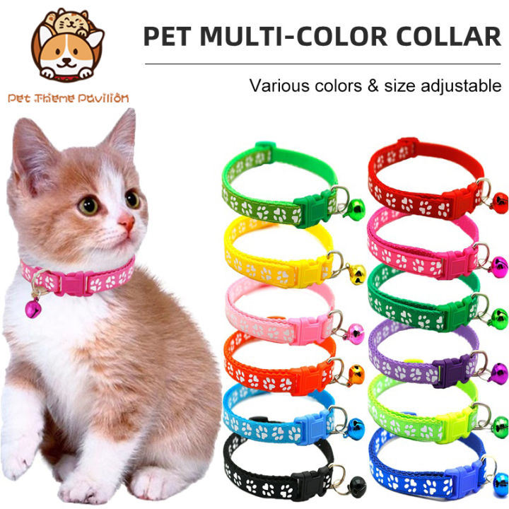 Cat and clearance dog accessories