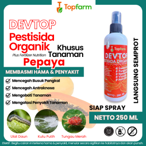 Obat Hama Pohon Pepaya / Obat Semprot Semut Hama Pepaya / Obat Hama Patek Pepaya / Obat Hama Kutu Daun Pepaya / Obat Pepaya Daun Kuning / Obat Semprot Hama Daun Pepaya