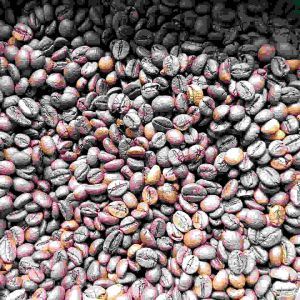 Cafe Robusta rang mộc Ban Mê Thuột chuyên pha máy 500g