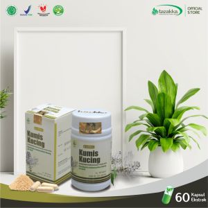 Kapsul Kumis Kucing Tanaman Obat Infeksi Saluran Kemih Herbal Batu Ginjal