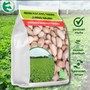 Benih Kacang Tanah Gajah Jumbo 1 kg Unggul Urban Farming