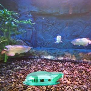 Snail Trap For Aquarium Fish Tanks Cleaning Safe Plastic Efficient Snail Catchers Capture Box Tool Tanks Accessories