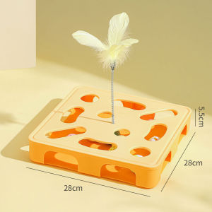 AIMAYAPET Interactive Kitten Toys Roller Tracks with Spring Pet Toy with Exercise Balls Teaser Feather