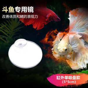 Gương Tập Betta Cho Bể Cá Gương Nổi Acrylic Cho Bể Cá Betta Chơi Đồ Chơi
