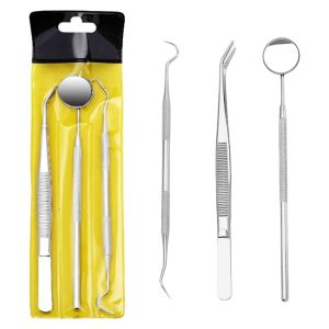 STYLETENK 3/4Pcs Set Stainless Steel Dental Tool Set Complete Accessories Double-Ended Tartar Remover Tool Professional Flosser Included Oral Care Tool Set Home Use