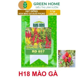 Hạt Giống Hoa Mào Gà Đuôi Phụng Nhiều Màu GreenHome Gói 01g~200 hạt Dễ Trồng Quanh Năm H18
