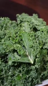 羽衣甘蓝轻轻面高蛋白低脂苦荞麦藜麦全粗粮代餐挂面膳食纤维 Kale Light Noodles High-Protein Low-Fat Buckwheat Quinoa Full Coarse Grain Meal Replacement Noodles Dietary Fiber