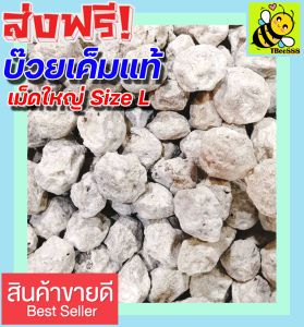 ส่งฟรี!! 1000 กรัม บ๊วยเค็มแท้ ลูกใหญ่ บ๊วยเค็ม แอ๊ปเปิ้ล (ไซส์ L จัมโบ้ เม็ดใหญ่) บ๊วยฟรุ๊ตทาซี่ บ๊วยเค็มขาว มีเกร็ดเพชรแท้ บ๊วยทุกชนิด บ๊วยทุกชนิด บ๊วยเค็มอัดเม็ด บ๊วยซากุระ บ๊วยเค็มสีขาว บ๊วย สินค้าหายาก ราคาถูก PLUM