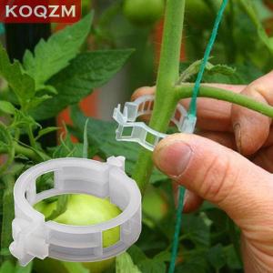 [COD] KOQZM KITCHEN Beauty Wisdom 50pcs Trellis Tomato Clips Supports Connects Plants Vegetable Fastening Clip