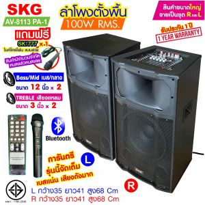 ลำโพงตั้งพื้น ลำโพงขนาด 12 นิ้ว 100W RMS สุดยอดเบสแน่นๆๆ รุ่น AV-8113 PA-1 (สีดำ) ขายเป็นคู่ ซ้าย-ขวา ลำโพง ตู้ลำโพง ลำโพงเบสหนักๆ SKG