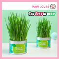 [Sg Ready Stock] Cat Grass Seed For Planting Easy to Grow Oat Grass That Your Cat Will Love Good Cat Grass - Pet Cat Grass Pot Hydroponics Set Cat Grass Snack Hair Ball Cleaning Stomach Grass Hydroponics Grass Cat Snack Cleaning Toys - Paw Loves. 