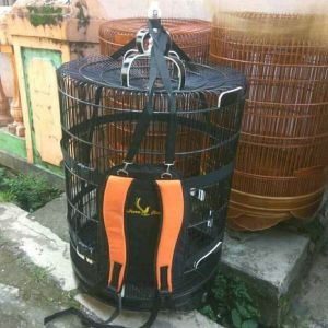 Tas gendong rangsel multi fungsi untuk sangkar Kotak dan Murai