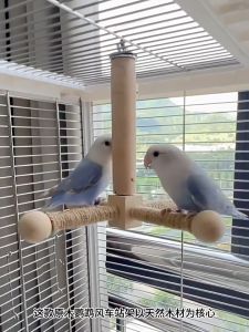 【NEW】Pet Parrot Wooden Toy 360° Rotating Station Pole Toy Multi-colors Birds Cage Accessories