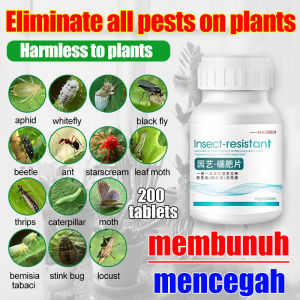 Kill all kinds of pests in one second racun serangga tanaman Pesticides for plants No pests within 100 meters racun serangga perosak tanaman Plant extraction does not harm flowers Insecticides for plants Racun serangga untuk daun Neem oil for plant 植物杀虫剂