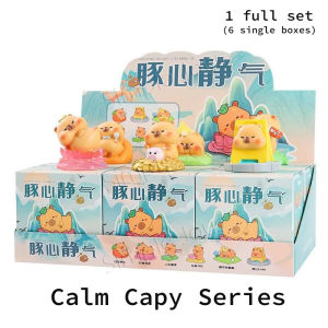 Kapibara Capybara Blind Box Figurines Resin Cute Gift