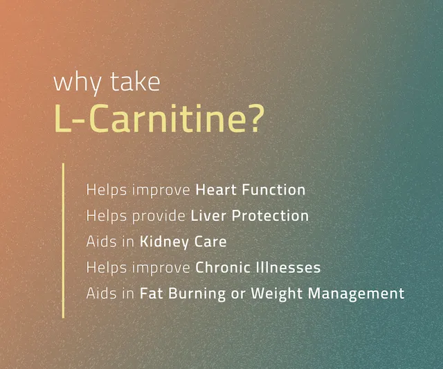 LeGARDE Carnipure L-Carnitine 500mg LICAPS Licaps Fusion Technology Fda  Registered Supplement High-Quality L-Carnitine Capsules Rapid Therapeutic  Effect - Lazada | Lazada PH