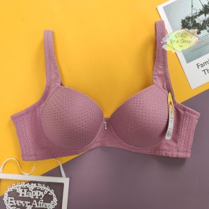 Plus Size Women Bra Wired Ice Silk Plain [Lily Bra Shop]