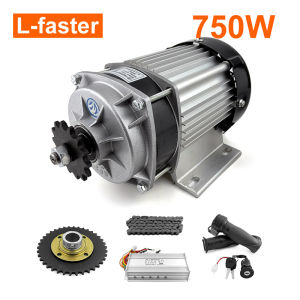 48V 750W Electric 4-Wheel Cart brushless gear motor Conversion Kit With Chain System Throttle