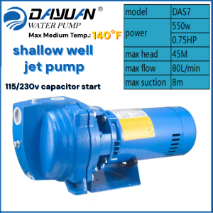 DAYUAN Shallow Well Pump 1HP DAS10 HVAC and Circulation & Pressure Boosting for Cold and Hot Water