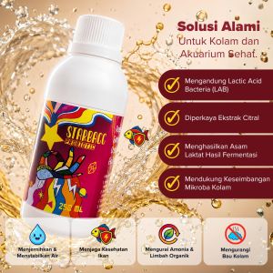 Probiotik Starbacc Koi Koki Channa Louhan Predator 250 ml Untuk Kesehatan Ikan IKANESIA