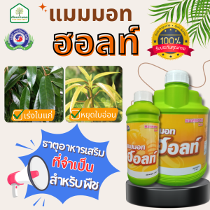 แมมมอท ฮอลล์ แคลเซียม 14% เร่งใบแก่ หยุดใบอ่อน ตัวช่วยสร้างดอก ของแท้ 100% ขนาด 1 ลิตร