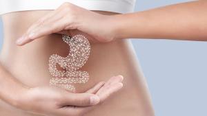 <Jimeido Official> Mileon Dx